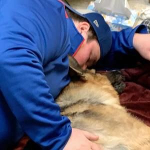 Meet your Posher, Dylan